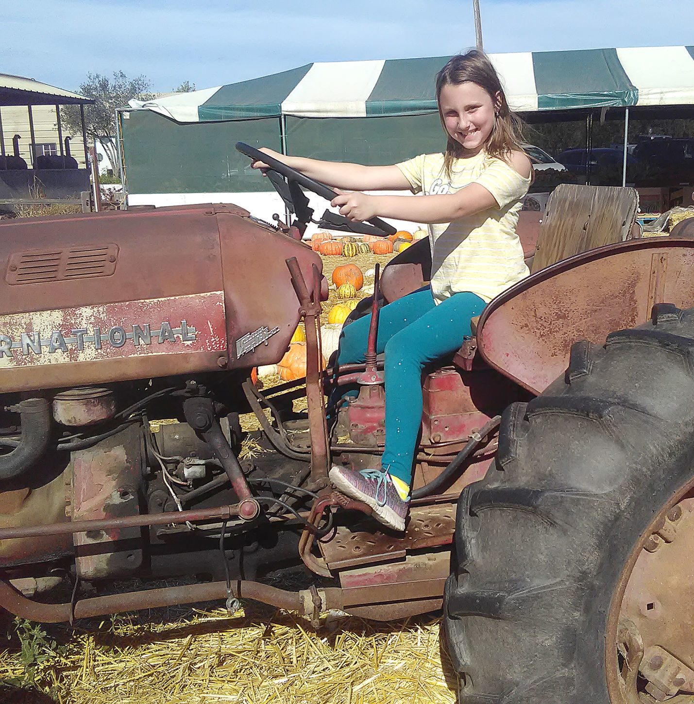 Pumpkin Patch